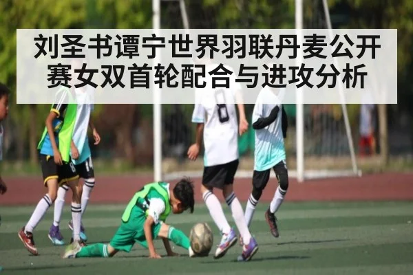 刘圣书谭宁世界羽联丹麦公开赛女双首轮配合与进攻分析