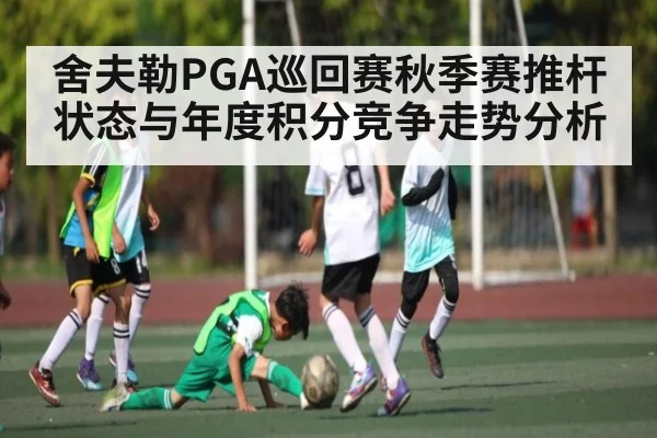 舍夫勒PGA巡回赛秋季赛推杆状态与年度积分竞争走势分析